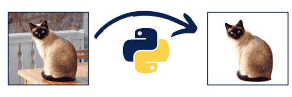 remove background from image with python